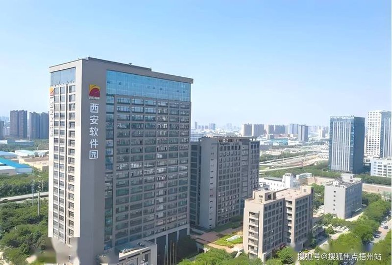 了解定制软件的重要性及其使用技巧