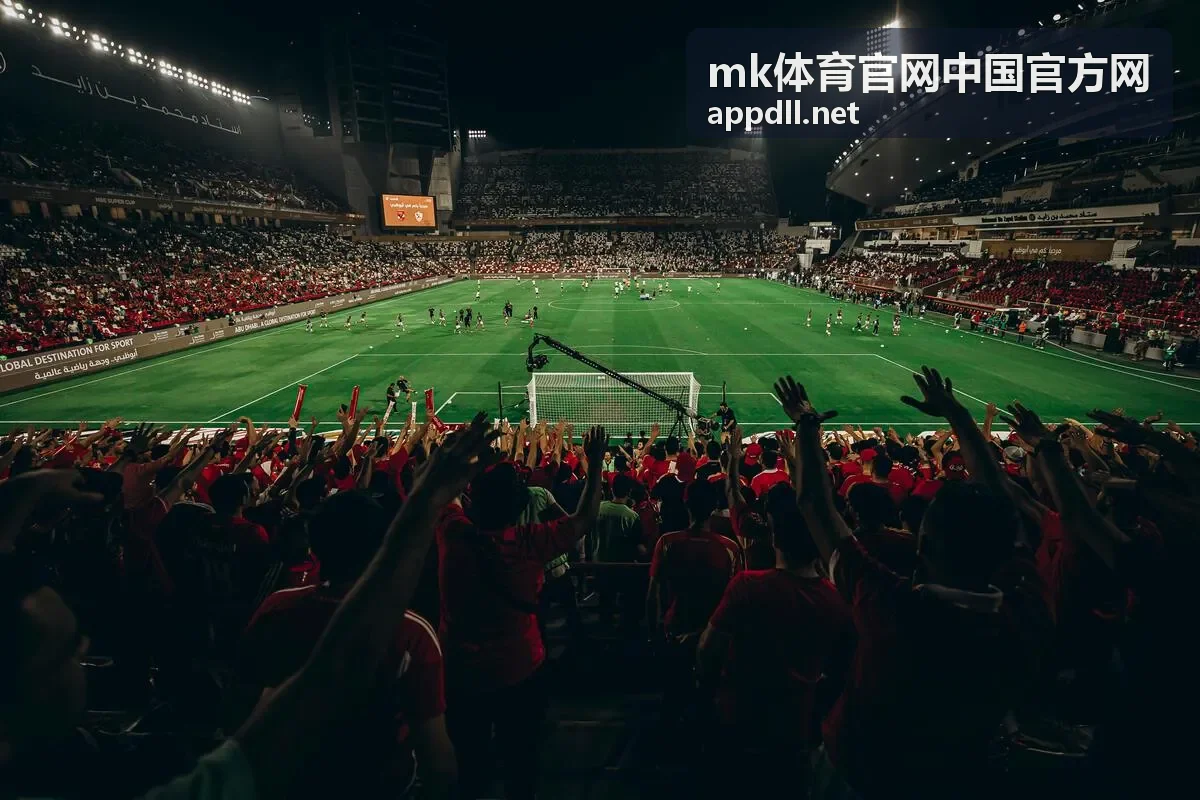 mk体育官网中国官方网网球巡回赛关键分回放封面